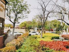 -新木器时代餐厅(太湖新天地店)