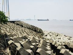 -上海滨江森林公园