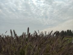 -汉长安城未央宫国家考古遗址公园