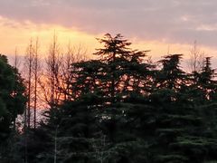 -上海滨江森林公园