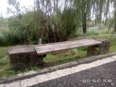 -白鹭湾湿地公园