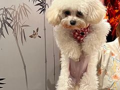 -你好独角兽·蛋糕甜品