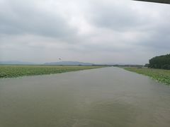-微山湖红荷湿地景区