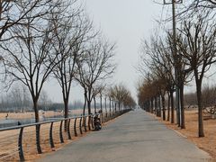 -马家湾湿地公园