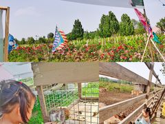 -安德鲁户外烧烤帐篷营地(马泉营店)