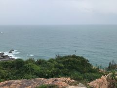 -广东惠东海龟国家级自然保护区