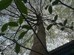 -黎记大排档(慈云路店)