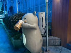 -汉森熊啤酒屋(雨耕山店)