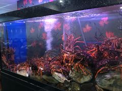 -渔洲情海鲜酒家