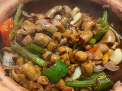 -天宝食坊·啫啫煲大排档(西华路店)