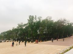 -宝安西湾红树林湿地公园