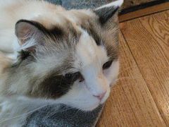 -白兔子密室(长寿路店)