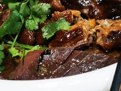 马冈鹅大全-鹅城