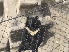 -石家庄极地海洋世界