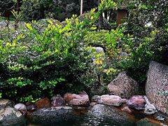 -郑州银基黄帝宫御温泉