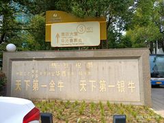-华西村