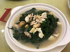 枸杞叶-东森家宴·惠州客家菜