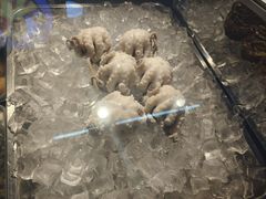 -铭聚章鱼土笋冻(松柏店)