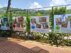 -芦仙山景区-飞越丛林探险乐园