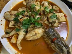 -煲来饱去冷水鱼