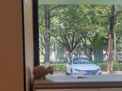 -瑞派康怡24h宠物医院·犬猫医疗中心·微创绝育(瑞景分院)