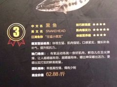 -鱼酷活鱼烤鱼(张江长泰店)