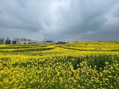 -三圣花乡旅游区