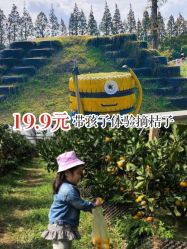 -前小桔亲子创意农场·草莓采摘·露营烧烤