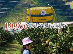 -前小桔亲子创意农场·草莓采摘·露营烧烤