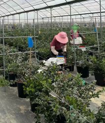 点击看大图 -WAVE SODA摄影工作室