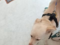 -纳吉亚猫专科动物医院·北北分院