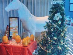 -青春足迹·概念店·小憩足疗SPA