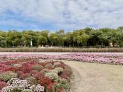 -嘉北郊野公园