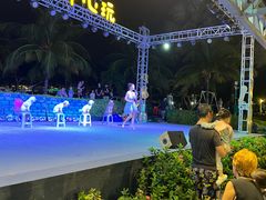 -渔家火锅·海鲜自助餐·演艺(亚龙湾天域酒店)