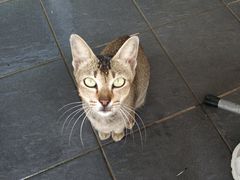 -仙本那小型鱼市