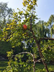 -今日陶艺(富力广场店)