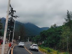 -杨梅坑