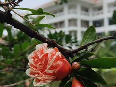 -云南滇池花园国际大酒店温泉