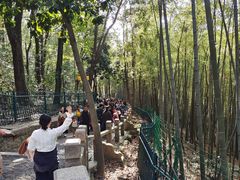 -灵岩山风景区