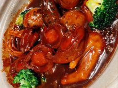 -新雅粤菜馆(南京东路店)