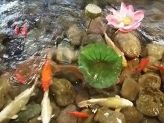 android_upload_pic-山有花啡餐厅(常营总店)