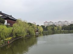 -南汇桃花村