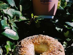 bagel-BIG BAGEL(永康路店)