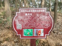 -雨花胜境