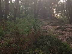 -喻家山