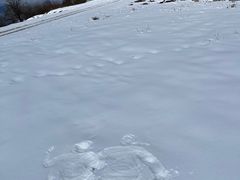 -太子岭滑雪场