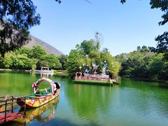 -蝴蝶泉公园