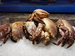 面包蟹-蓝钻·国际美食海鲜自助百汇(西直门店)