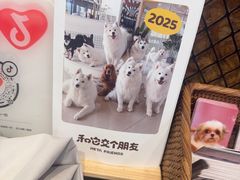 -和它·交个朋友·狗咖猫咖(爱琴海店)