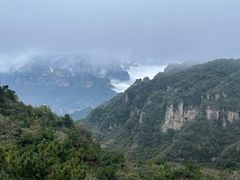 -王莽岭风景区